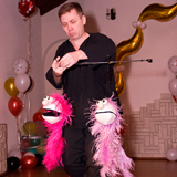 Организация детских праздников